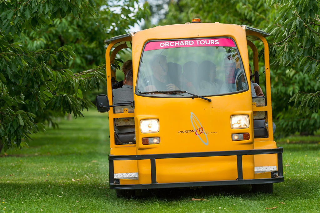 Tasty Orchard Tours