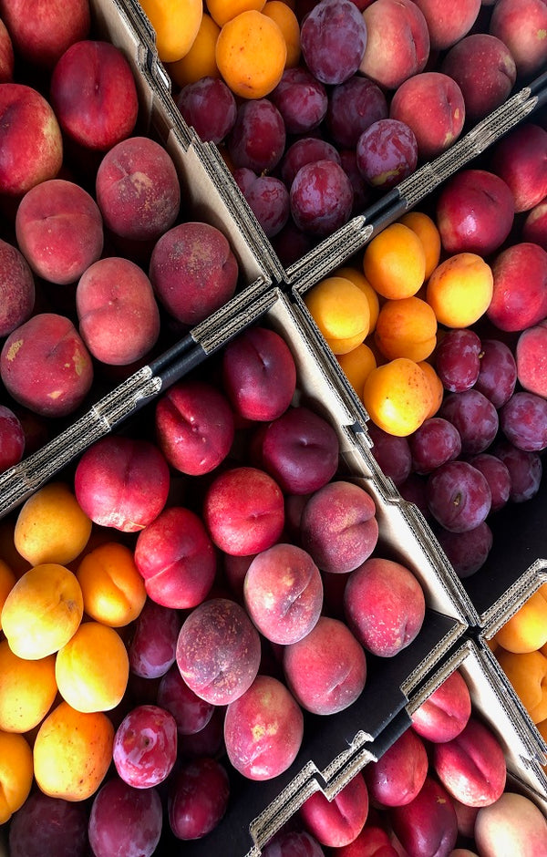 Summer Mixed Box Jackson Orchards - New Zealand Orchard