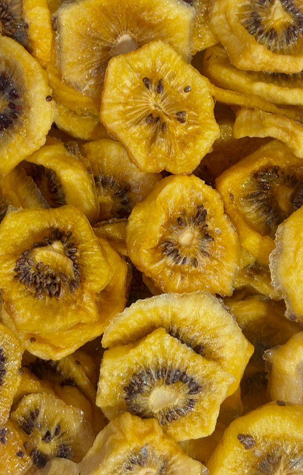 NZ Dried Gold Kiwifruit - Jackson Orchards