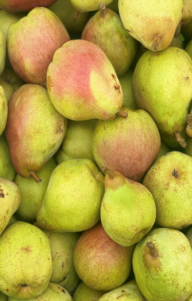 Seasonal Pears - Jackson Orchards