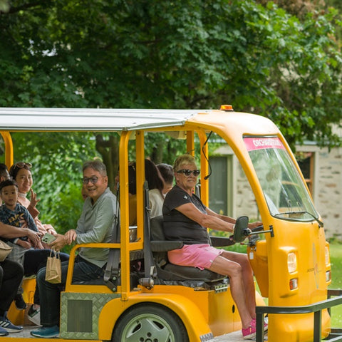 Orchard Tour, Highlands Taxi & Museum Family COMBO - Jackson Orchards