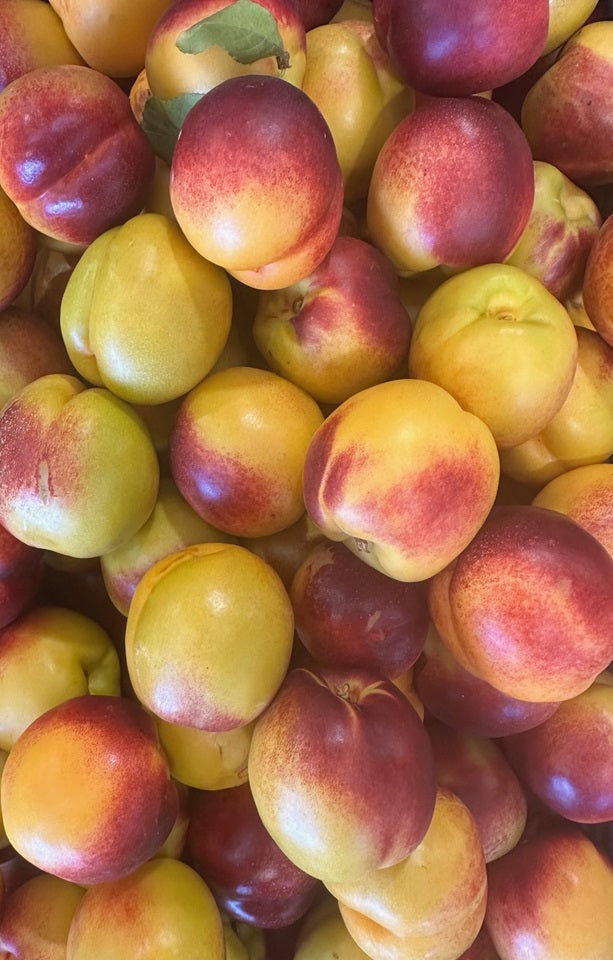 Peacharines - Jackson Orchards