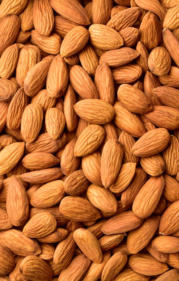 Almonds Natural Jackson Orchards - New Zealand Orchard