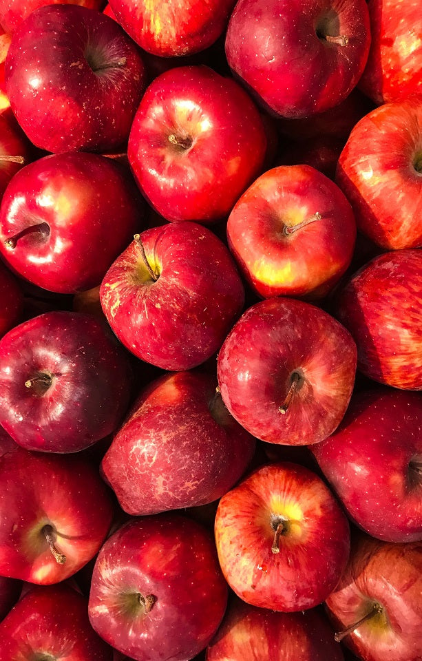 Seasonal Apples - Jackson Orchards