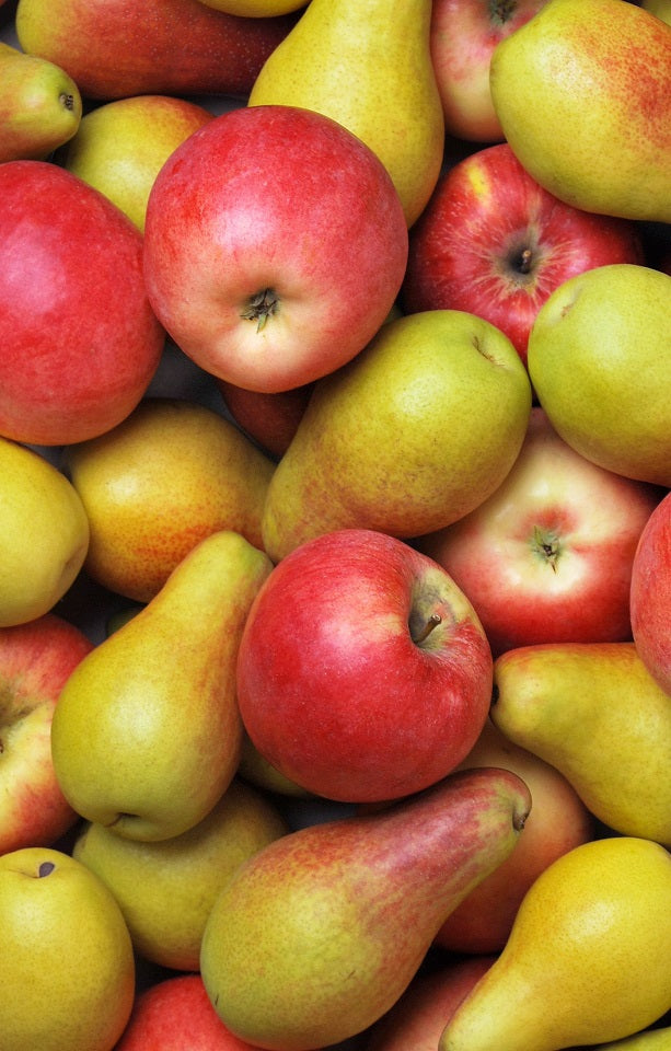 Winter Mixed Box Jackson Orchards - New Zealand Orchard