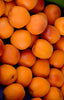 Seasonal Apricots Jackson Orchards - New Zealand Orchard