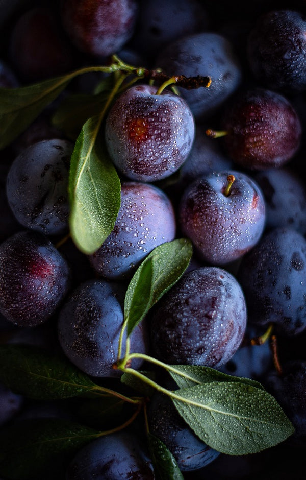 Black Doris Plums Jackson Orchards - New Zealand Orchard