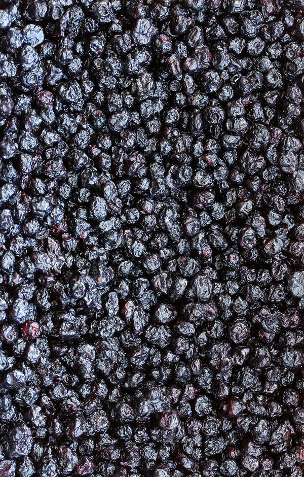 Dried Blueberries Jackson Orchards - New Zealand Orchard