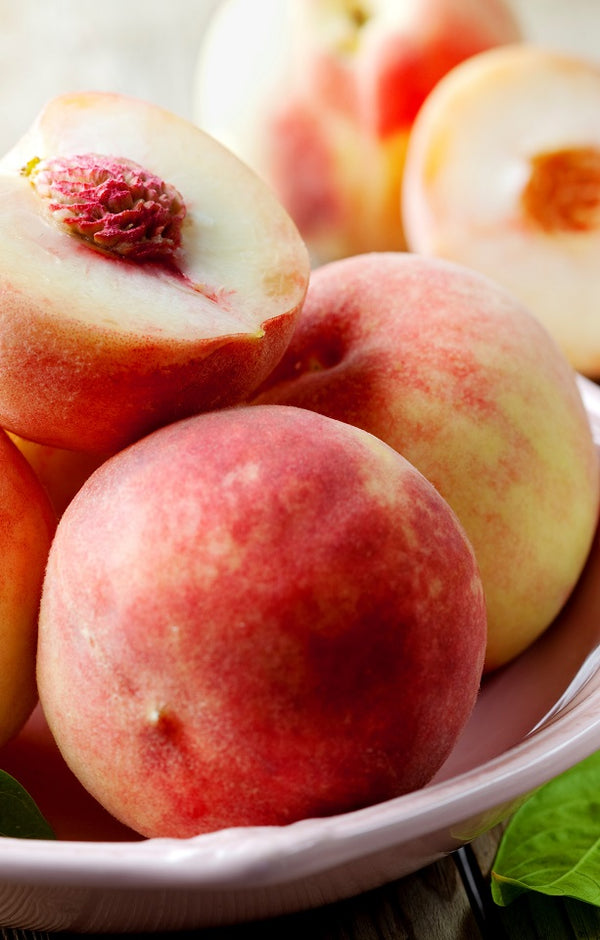 Blushing Star Peaches Jackson Orchards - New Zealand Orchard