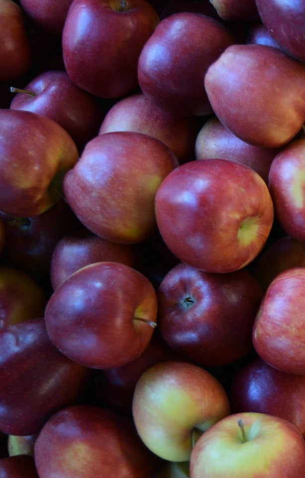 Seasonal Apples - Jackson Orchards