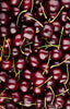 Cherries Jackson Orchards - New Zealand Orchard