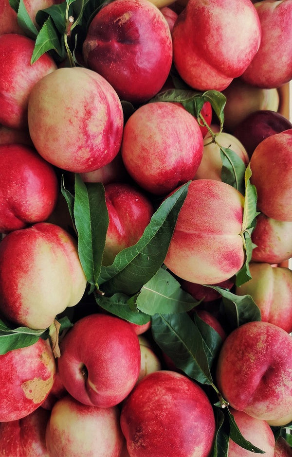 Fire Pearl Nectarines - Jackson Orchards