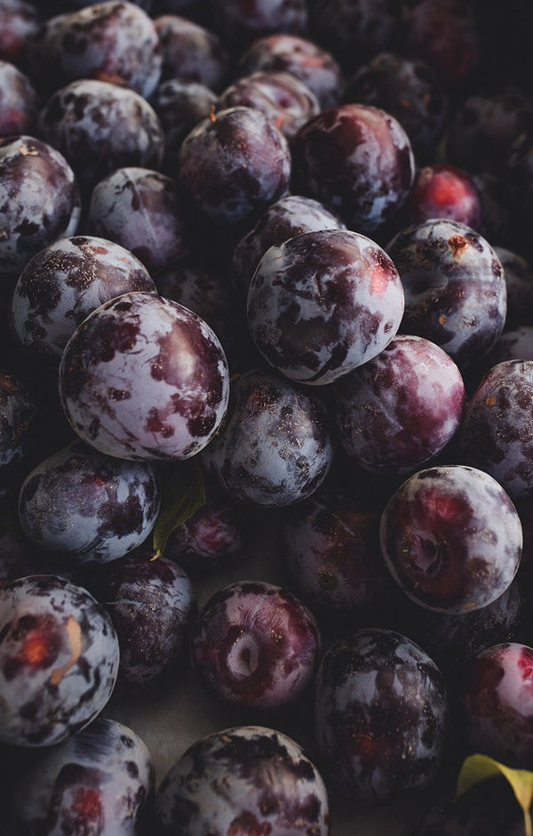 Freedom Plums - Jackson Orchards