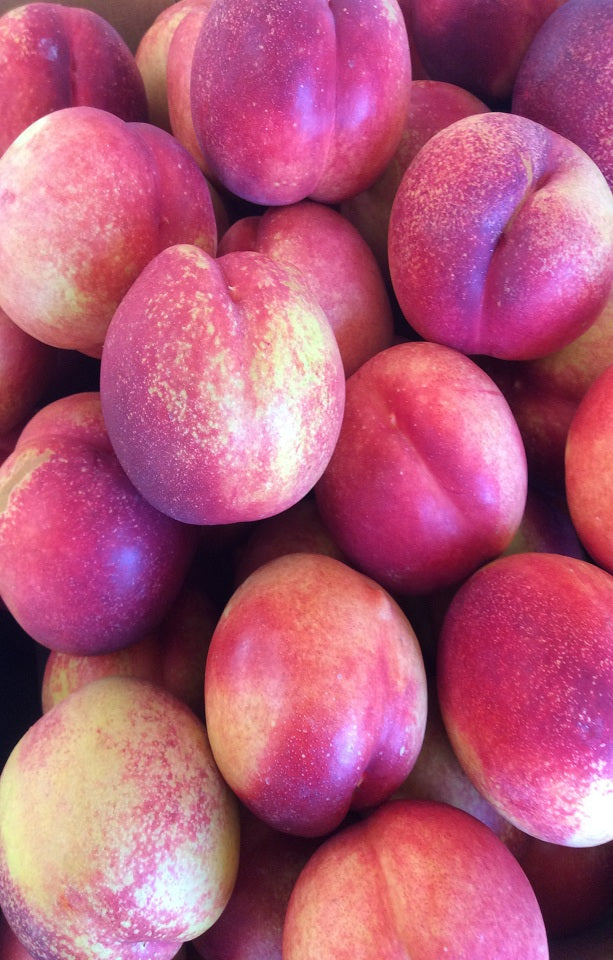 Grand Candy Nectarines Jackson Orchards - New Zealand Orchard