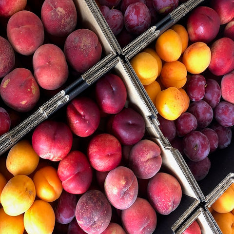 Summer Mixed Box Jackson Orchards - New Zealand Orchard