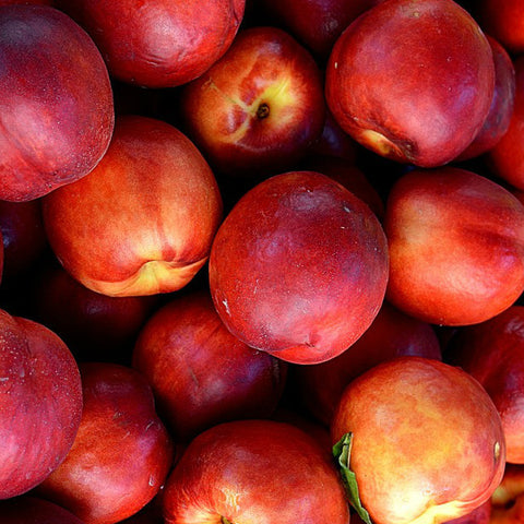 Seasonal Nectarines Jackson Orchards - New Zealand Orchard