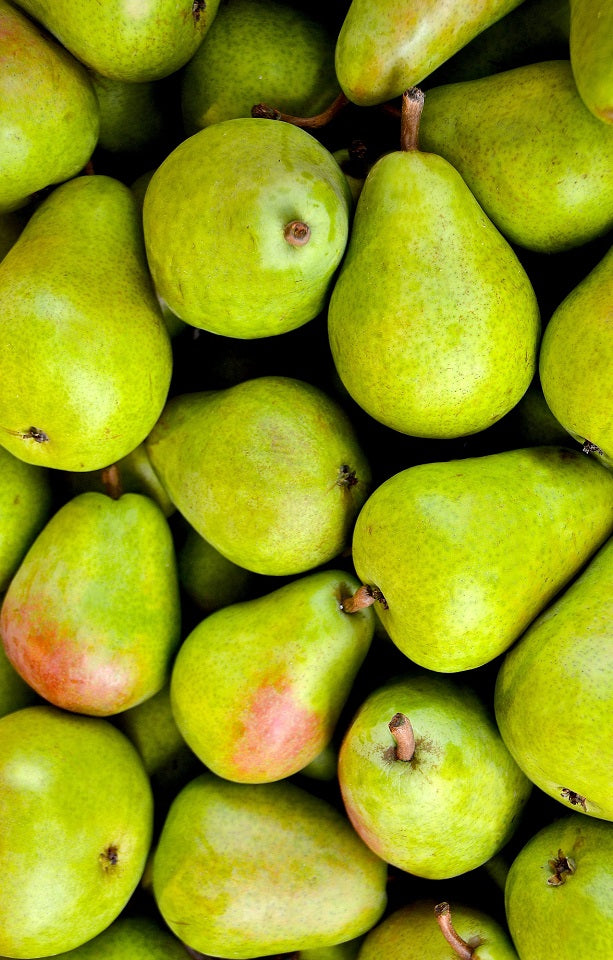 Seasonal Pears Jackson Orchards - New Zealand Orchard