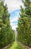 Orchard Tours Jackson Orchards - New Zealand Orchard