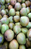 Seasonal Pears Jackson Orchards - New Zealand Orchard