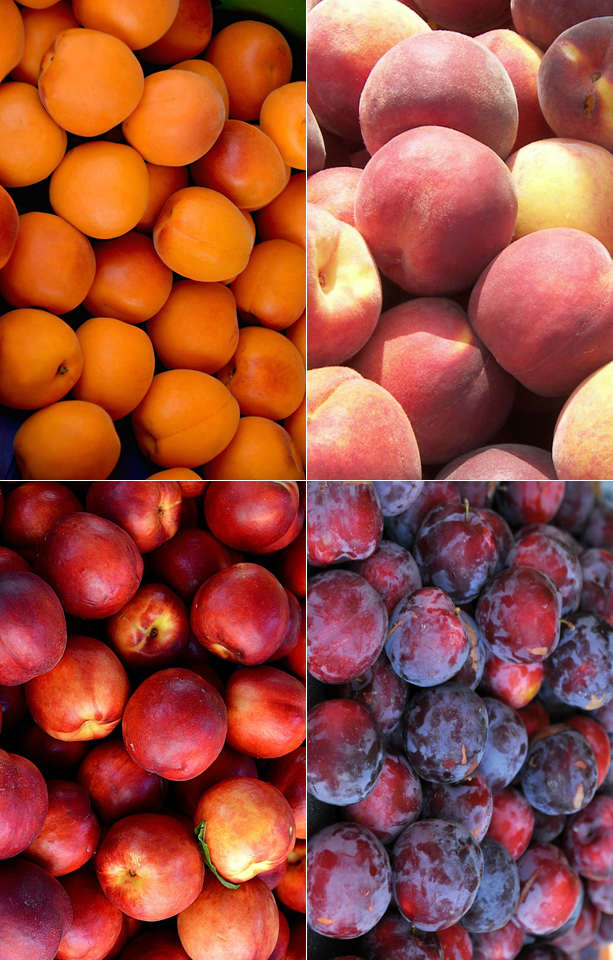 Summer Mixed Box Jackson Orchards - New Zealand Orchard