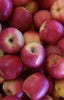 Pacific Rose Apples Jackson Orchards - New Zealand Orchard